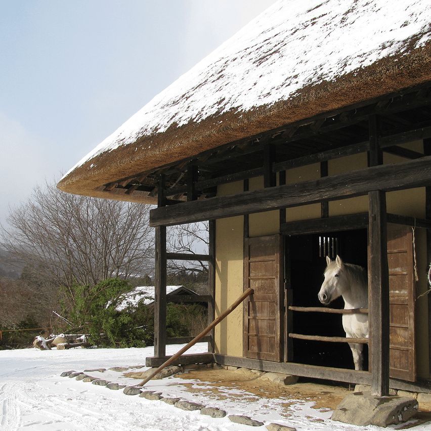 馬が小屋で休んでいる様子